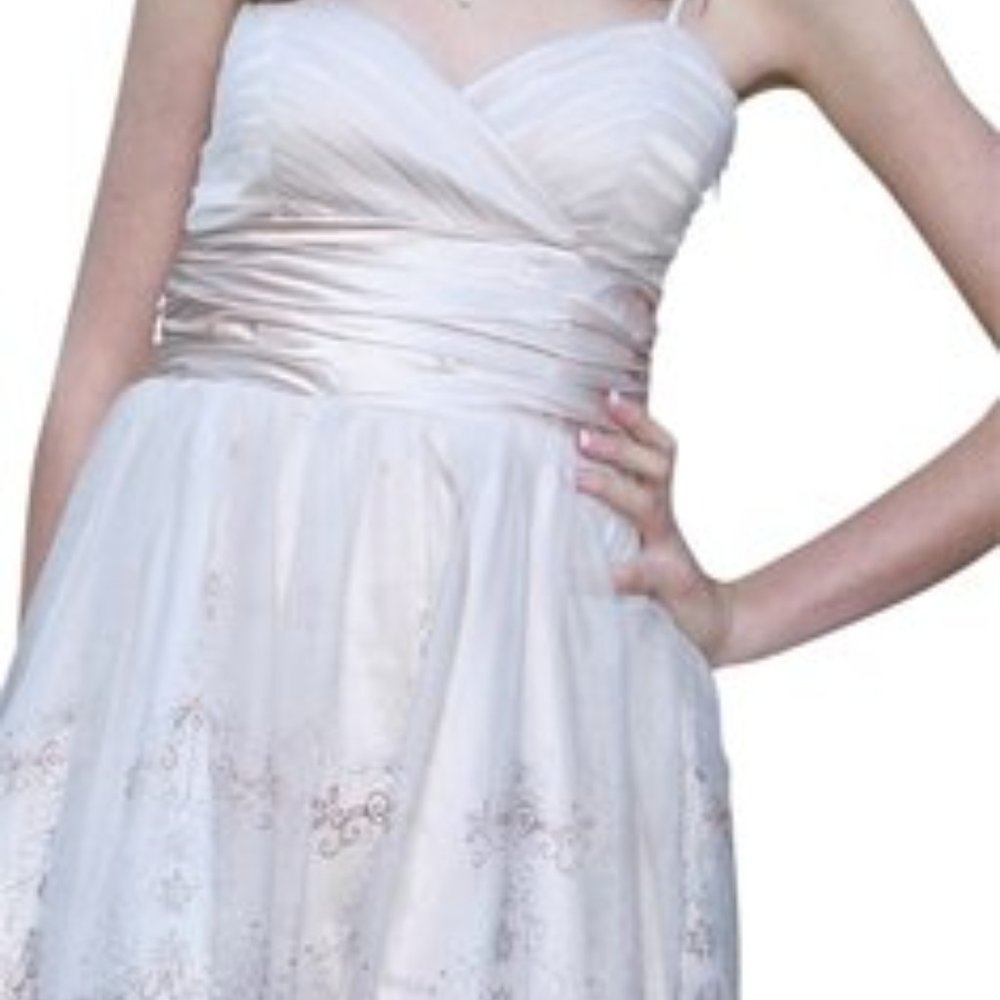 Morgan and Company Party/Homecoming/Prom Dress